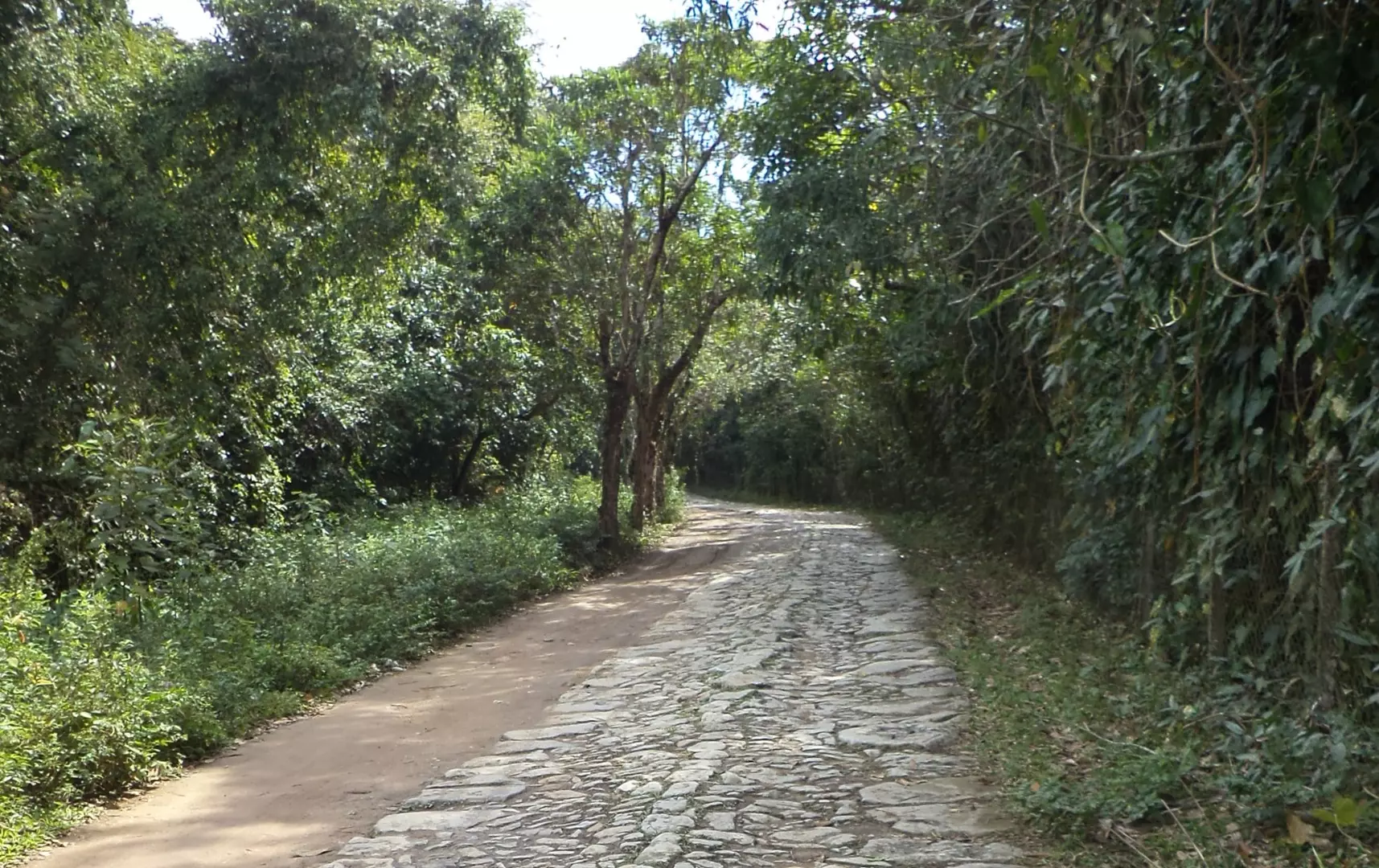 Caminhos históricos do Vale: a Estrada do Comércio